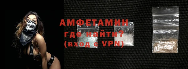 шишки Белокуриха