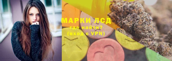 шишки Белокуриха