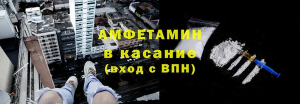 шишки Белокуриха
