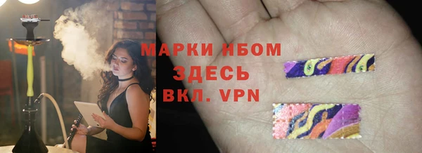 шишки Белокуриха