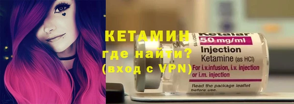 шишки Белокуриха