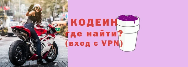 шишки Белокуриха