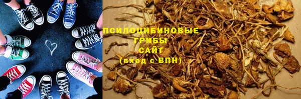 шишки Белокуриха