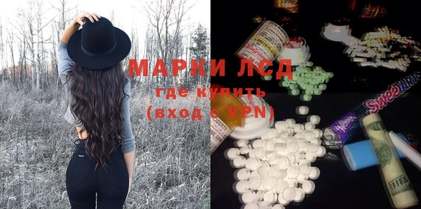 шишки Белокуриха