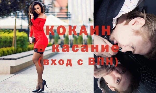 шишки Белокуриха