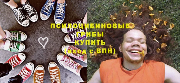 шишки Белокуриха