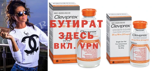 шишки Белокуриха