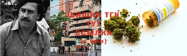 шишки Белокуриха