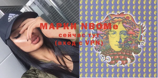 шишки Белокуриха