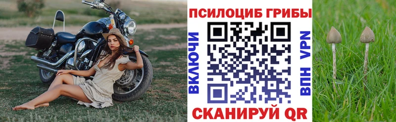 Псилоцибиновые грибы Cubensis  Тула 